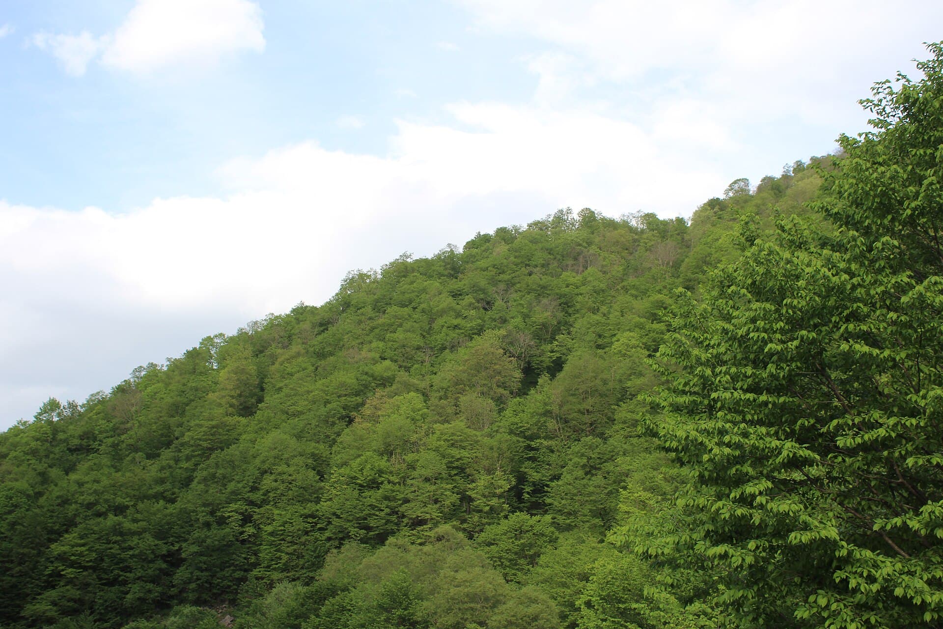 Dilijan